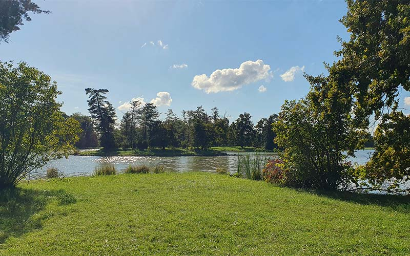 Blick auf den Teich