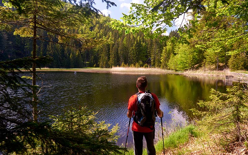 Wandern in der schönen Natur der Umgebung (Foto © Therme Zreče)