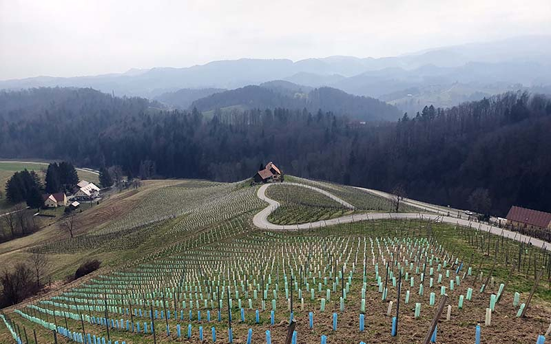 Blick auf die Herzerlstraße