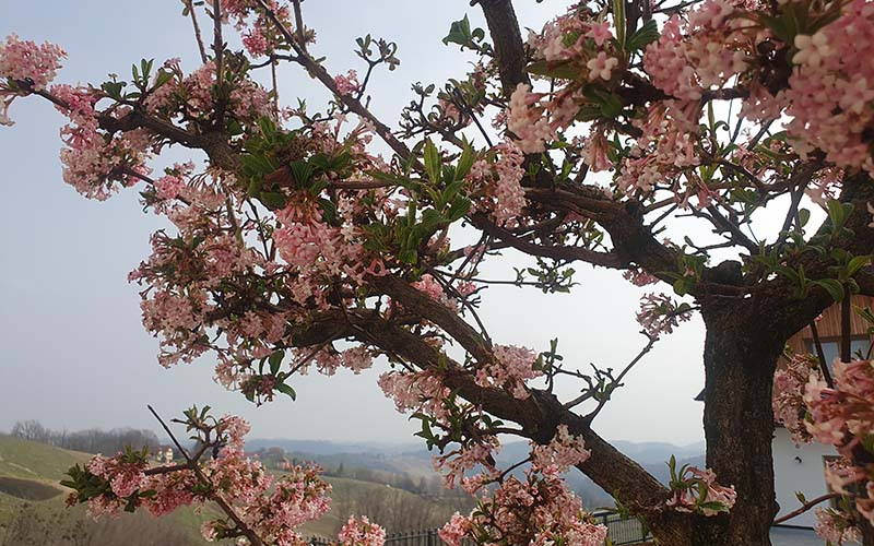 Im Frühling ist es hier besonders schön