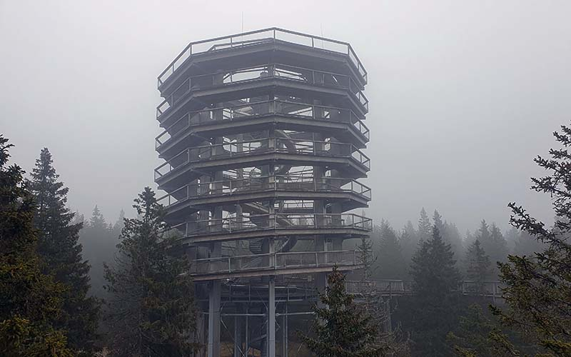 Mit der Rutsche geht es dann schnell bergab (Baumwipfelweg am Rogla)