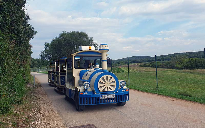 Ein Touristenzug fährt zum Paleo Park und in die Stadt Bale