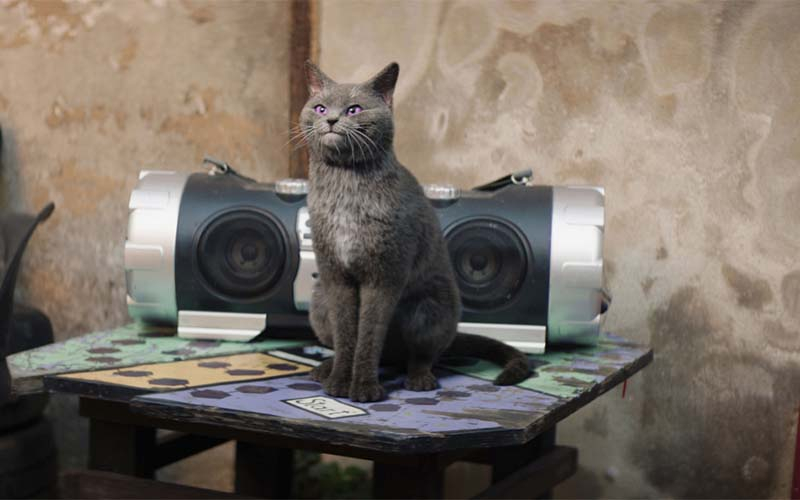 Ein Kater aus Paris ist das magische Tier von Helene (Foto © © 2024 Kordes & Kordes / LEONINE Studios)