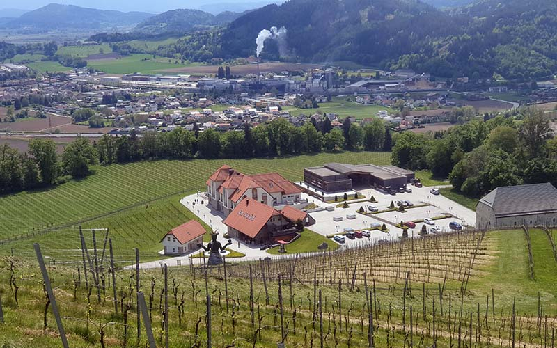 Blick zum Weingut