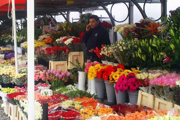 Auch der Blumenmarkt ums Eck erfreut das Auge