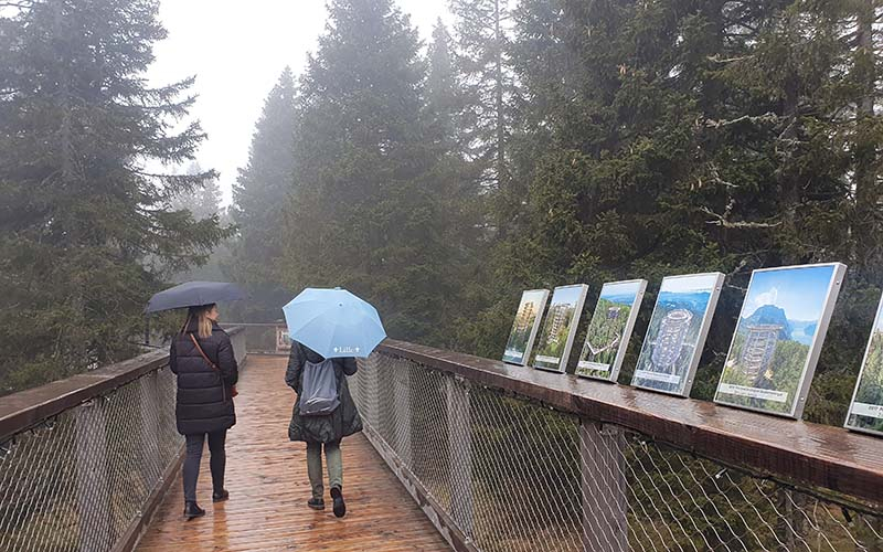 Spaziergang am Baumwipfelpfad bei Regen