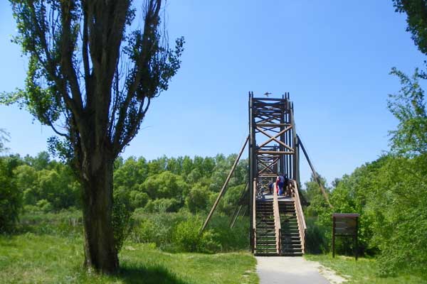 Blick zur Brücke