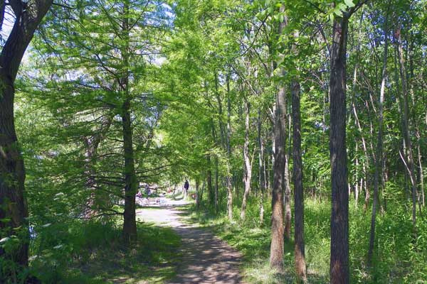 Ein Spaziergang am Kis Balaton