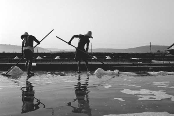 Arbeiter bei der Salzgewinnung (Foto © Soline Pridelava soli)