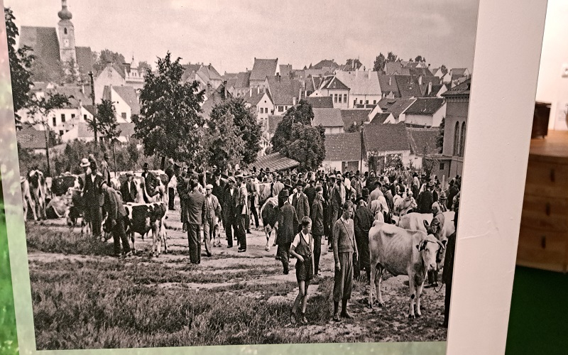 Auf dem  Viehmarkt  im Dorf der Hammerschmiede