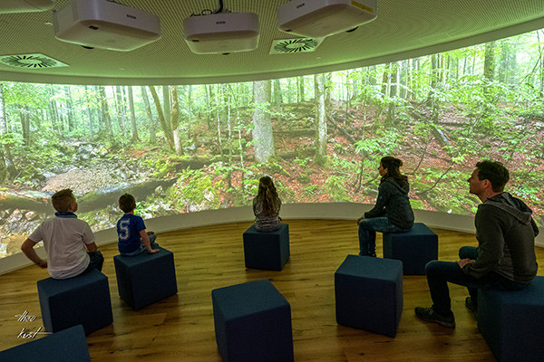 Noch ein "Kino": der Urwald zeigt sich zu allen Jahreszeiten (Foto © Haus der Wildnis, Theo Kust)