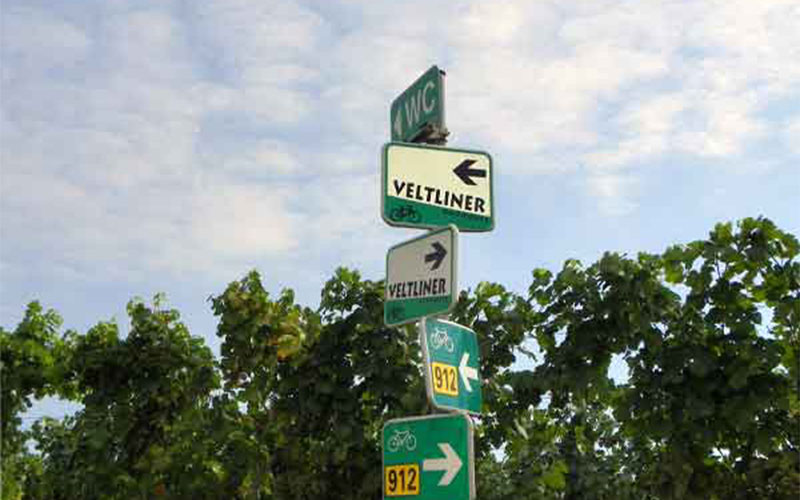 Wohin wollen wir uns wenden?