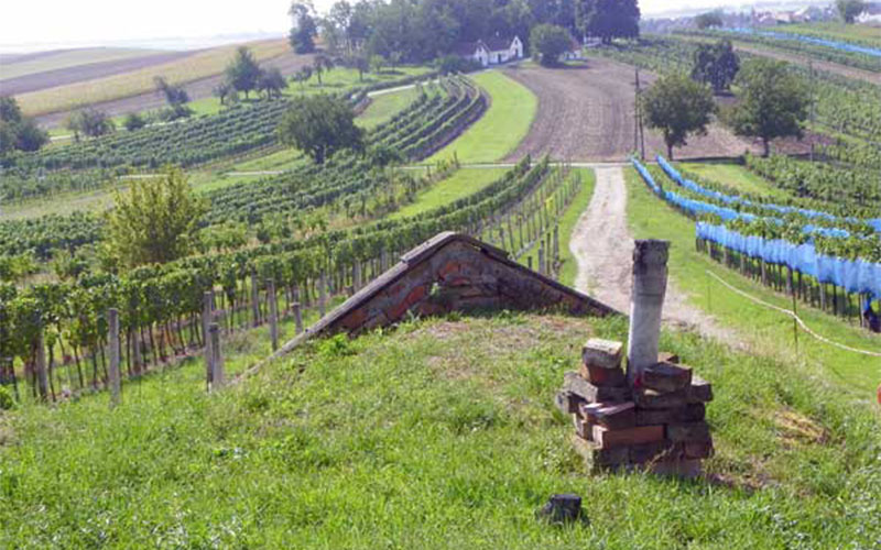 Blick in die Landschaft