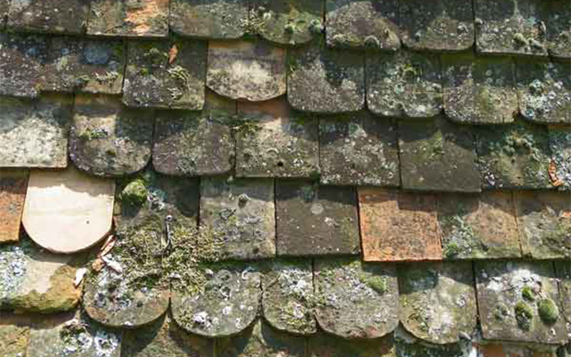 Mit welchen Schindeln wurde hier gedeckt?