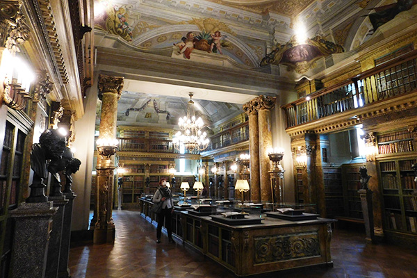 Blick in die Bibliothek