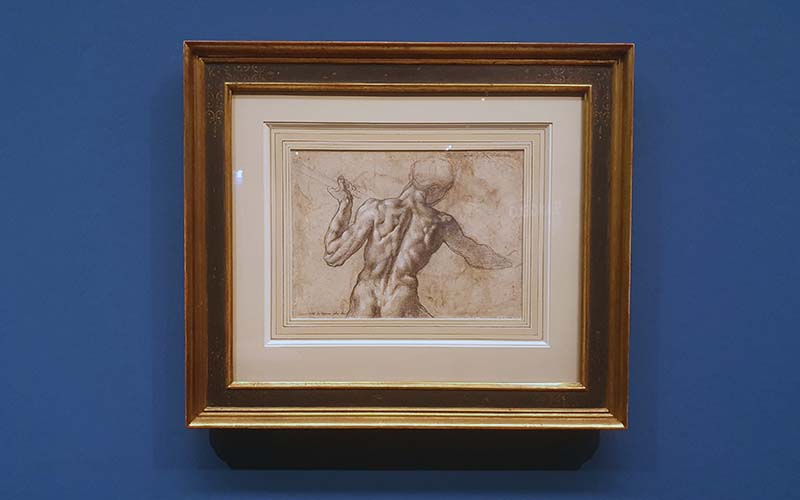 Eine Rückenstudie von Michelangelo