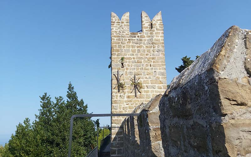 Die Stadtmauer von Piran