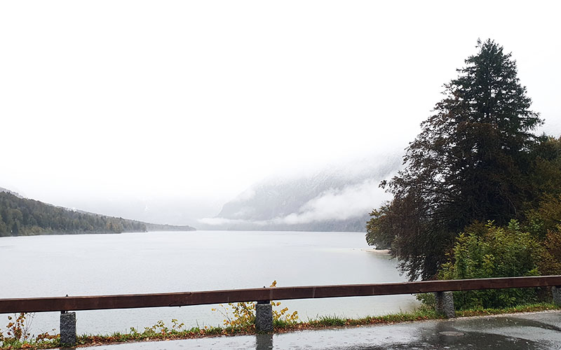 Blick auf den Bohinjer See