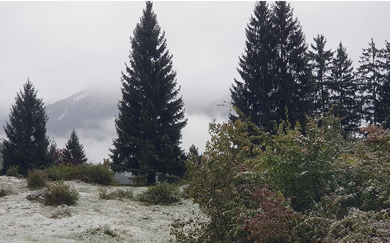 Dann geht es wieder zurück