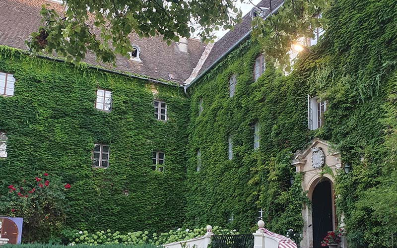 Zwischen den einzelnen Prüfungen werden Häppchen und Wein im Schlosshof gereicht