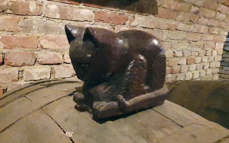 Die Kellerkatze