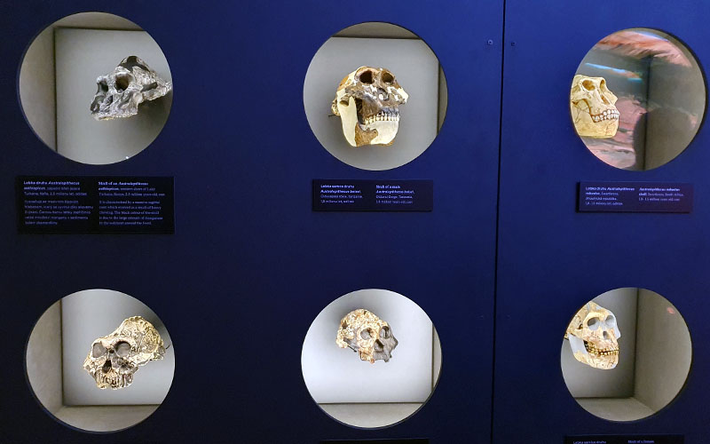 Im Nationalmuseum in Prag