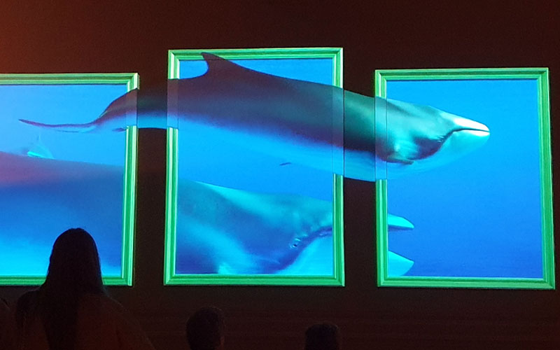 Im Nationalmuseum in Prag