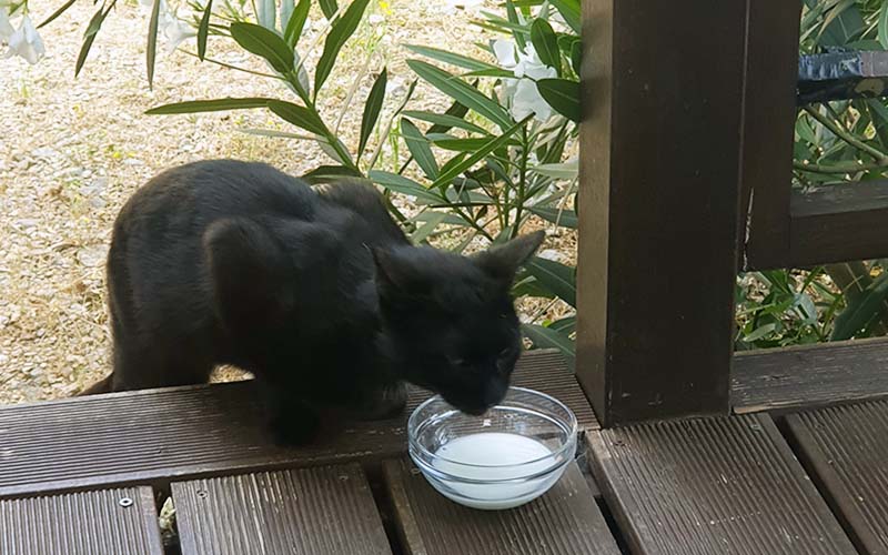Besuch im Mobilheim