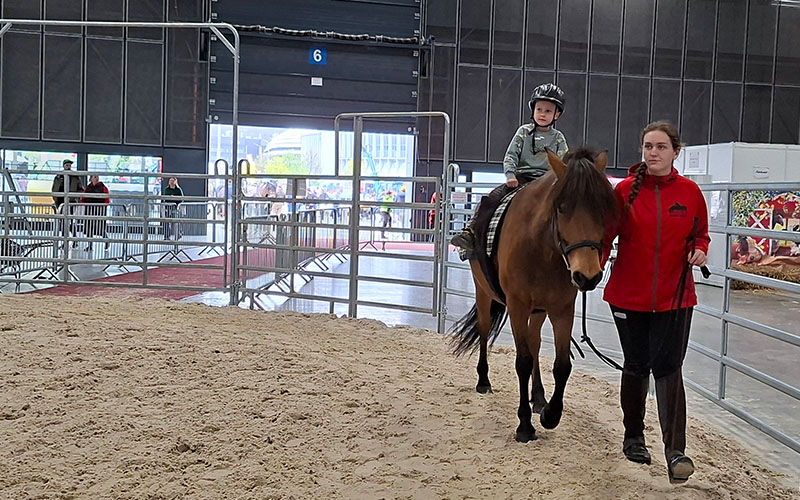 Hier konnten die kleinen Pferdefans ihre Runden drehen