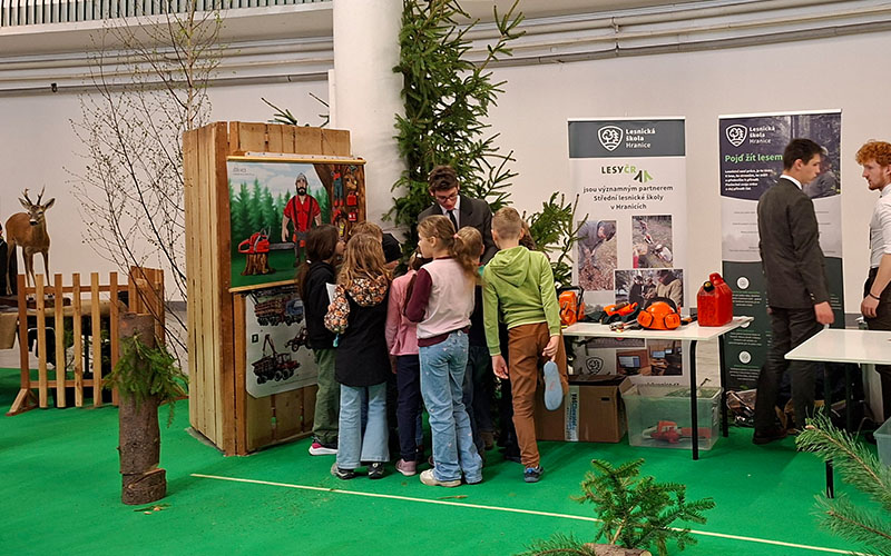 Interessantes aus Wald und Flur