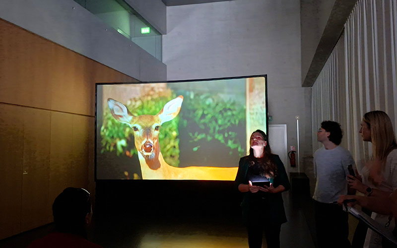 Deer Hunter von Andrew Herzog (US)