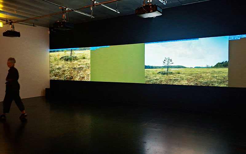 Office for Tree Migration (OTM) von Agnes Meyer-Brandis (DE)