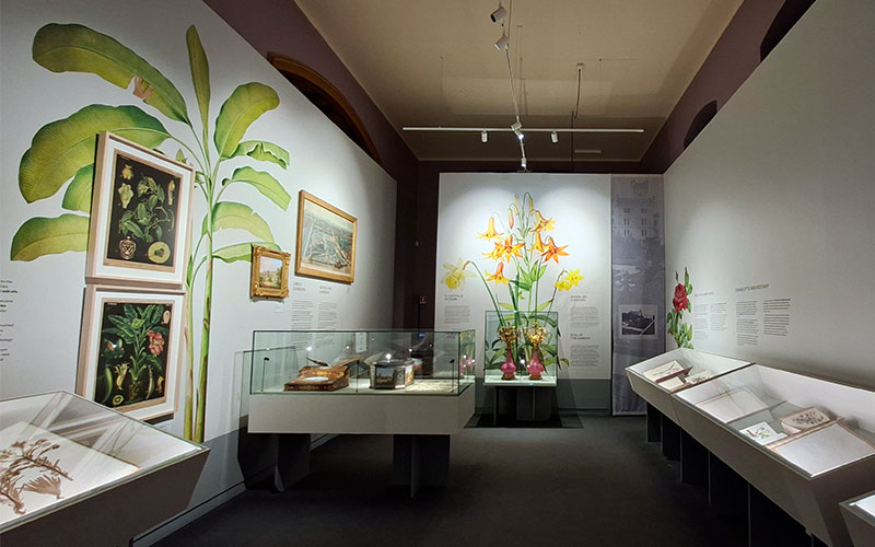 Blick in die Ausstellung "Ars Botanica. Gärten auf Papier"