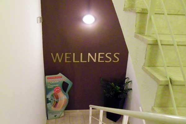 Wellness, Spa und Fitness im Hotel Bristol in Opatija