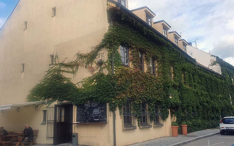 Ein wunderschönes Haus mit wilden Wein überwuchert