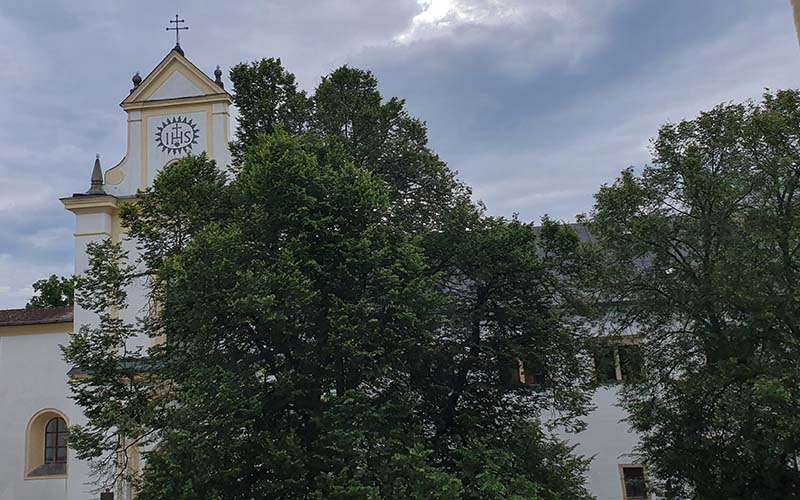 Blick auf die Schlosskirche