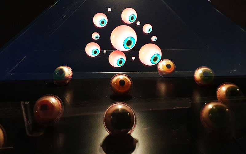 Augen begleiten dich ...