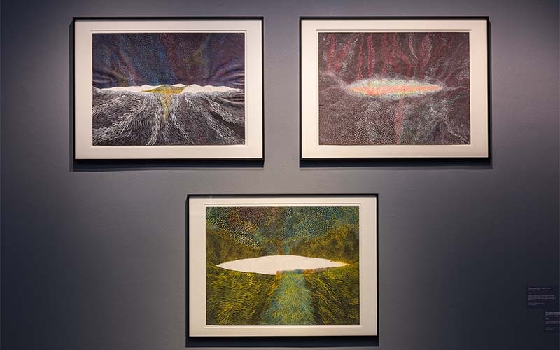 Blick in die Ausstellung (Foto © NÖ Museum Betrieb GmbH, Theo Kust)