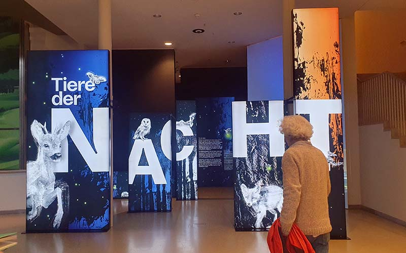 Tiere der Nacht - die Sonderausstellung im Haus für Natur im Museum Niederösterreich