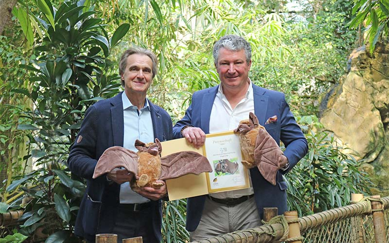 Daher gibt es auch eine Partnerschaft mit den Fledermäusen des Tiergarten Schönbrunn (Foto © Tiergarten Schönbrunn, Barbara Feldmann)