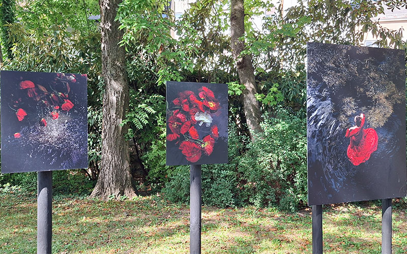Gacilly Foto Festival33