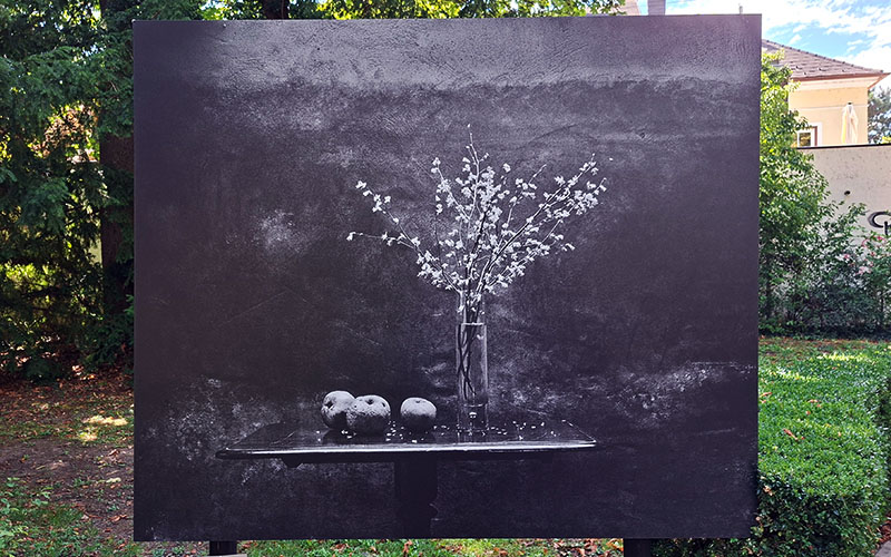 Gacilly Foto Festival37