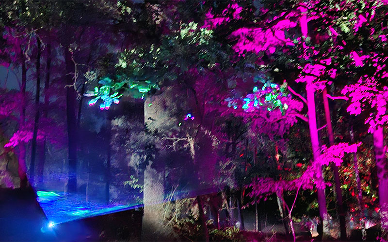 Blockheide Leuchtet26 46