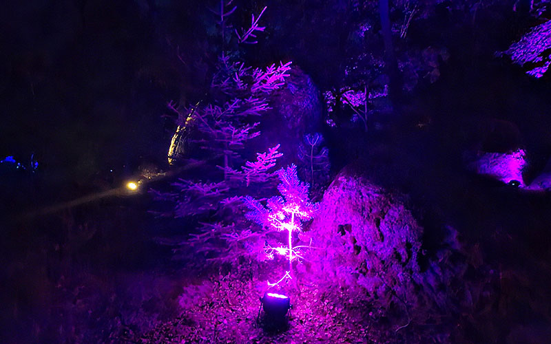 Blockheide Leuchtet26 54