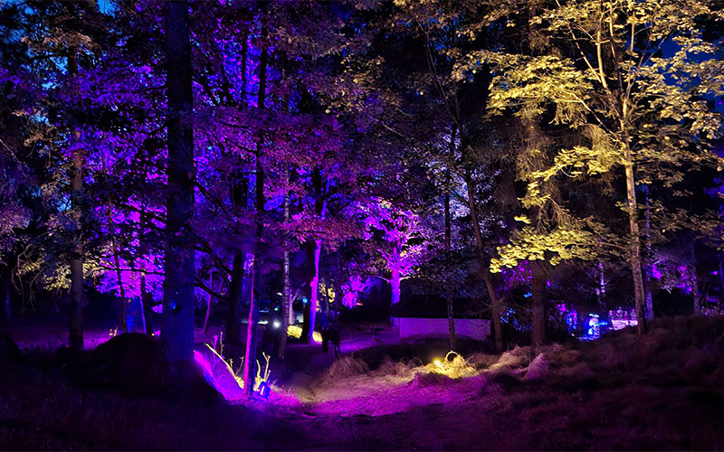 Blockheide Leuchtet26 78