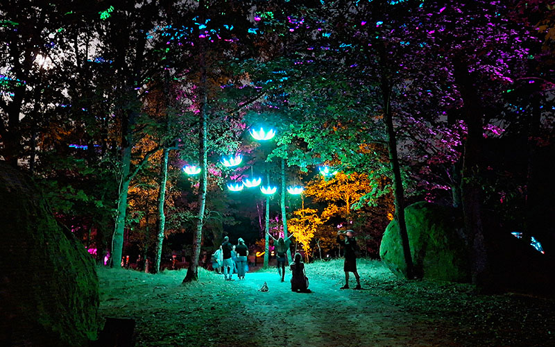 Blockheide Leuchtet26 85
