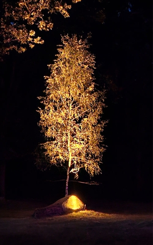 Blockheide Leuchtet26hf 1