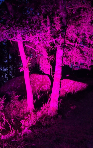 Blockheide Leuchtet26hf 17