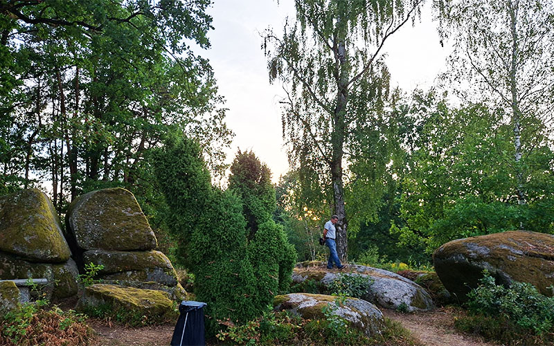 Naturpark Blockheide