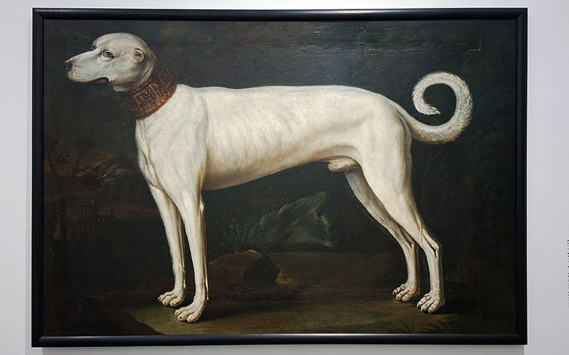 Der Jagdhund und sein Halsband soll die Würde und Macht seines Besitzers reflektieren